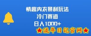 情趣内衣暴利玩法，冷门赛道，日入1k+-流年日记