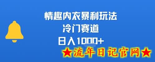 情趣内衣暴利玩法，冷门赛道，日入1k+-流年日记