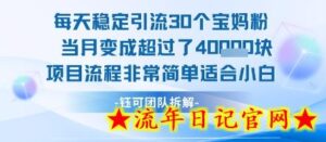 每天稳定引流30个人 当月变成超过了4个W项目流程非常简单适合小白-流年日记