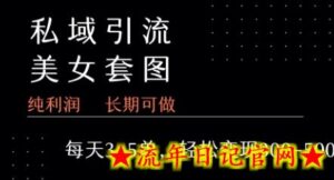私域卖套图每天3-5单 每单利润99-2张+-流年日记