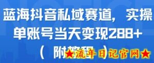蓝海抖音私域赛道，实操单账号当天变现288+(附教程)-流年日记