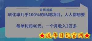 转化率最高的私域项目，每单利润40-50米，月入过1w-流年日记