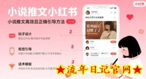 小说推文小红书高转化引导方法实操课,小说推文高效且正确引导方法-流年日记