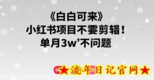 小白可来 小红书项目不需要剪辑 单月3w不是问题-流年日记