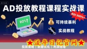 AD投放教程课程实战课,实现广告ROI300%+可持续暴利-流年日记