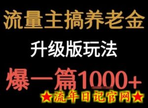 流量主之养老金升级版玩法  爆一篇收益1k+-流年日记