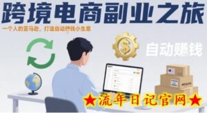 跨境电商副业之旅,一个人的亚马逊,打造自动賺钱小生意-流年日记