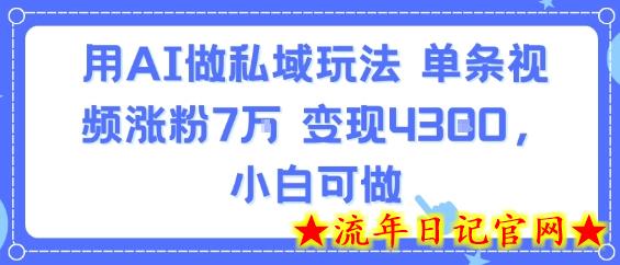 用AI做私域玩法，单条视频涨粉7W变现4.3k，小白可做-流年日记
