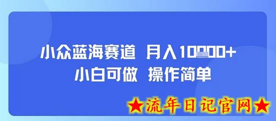 小众蓝海赛道，小白可做，操作简单，每天30分钟，月入1W+-流年日记