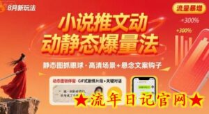8月小说推文全新玩法,动静态图片+搭配小说文案爆量玩法-流年日记