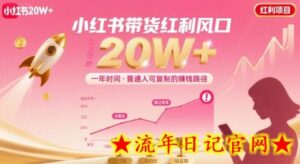 一年时间靠小红书带货项目年入20w+，最不能错的大红利项目-流年日记