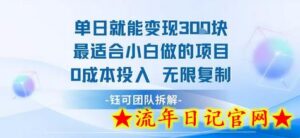 单日就能变现3张最适合小白做的项目0成本投入 无限复制-流年日记