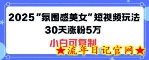 不露脸也能火!2025“氛围感美女”短视频玩法,30天涨粉5W小白可复制-流年日记