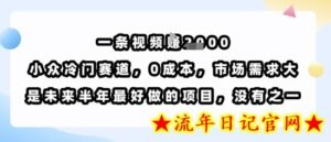 一条视频挣1k，小众冷门赛道，0成本，市场需求大，是未来半年最好做的项目，没有之一-流年日记