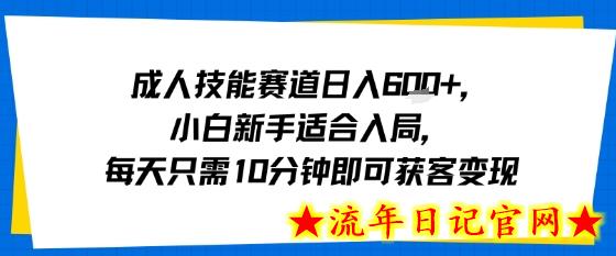 成人技能赛道日入多张，小白新手适合入局，每天只需10分钟即可获客变现-流年日记