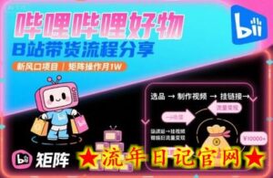 哔哩哔哩好物,B站带货流程分享,新风口项目,矩阵操作月1W-流年日记