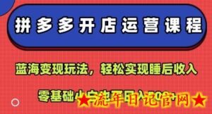 拼多多开店运营课程:蓝海变现玩法,轻松实现睡后收入,零基础小白也可日入5张-流年日记