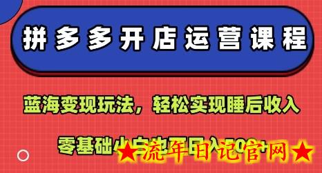拼多多开店运营课程：蓝海变现玩法，轻松实现睡后收入，零基础小白也可日入5张-流年日记