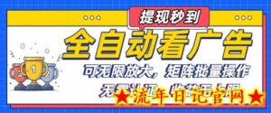 全自动看广告项目，可无限放大，可矩阵批量操作-流年日记
