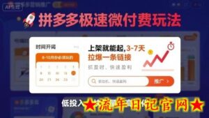 8月26号拼多多极速微付费玩法,8-10月份必须玩的,上架就能起,3-7天拉爆一条链接-流年日记