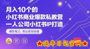 月入10个的小红书商业爆款私教营,一人公司小红书IP打造,爆款笔记,商业变现秘籍-流年日记