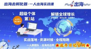 出海去孵化器,一人出海实战课,超级个体第1站,解锁全球增长-流年日记