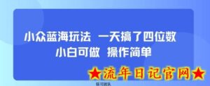 小众蓝海玩法 一天搞了四位数 小白可做 操作简单-流年日记