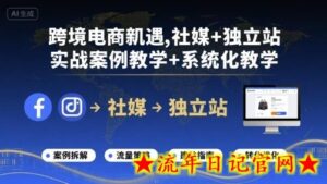 跨境电商新机遇,社媒+独立站,实战案例教学+系统化教学-流年日记