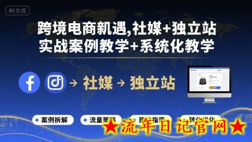 跨境电商新机遇，社媒+独立站，实战案例教学+系统化教学-流年日记