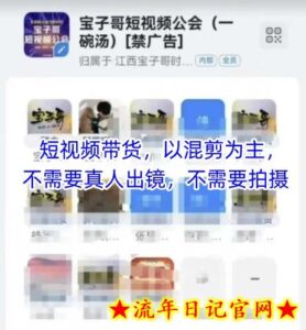 宝子哥头部团队短视频带货,以混剪为主,不需要真人出镜,不需要拍摄【更新8月】-流年日记
