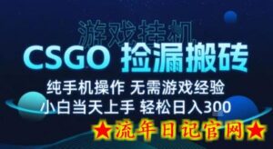 8月最新游戏搬砖，CSGO纯挂G，不需要玩游戏，实现真挂G，月入1W+【揭秘】-流年日记