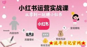 小红书运营实战课,从零到一玩賺小红书-流年日记