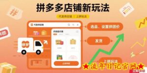 拼多多店铺新玩法,代发供应链上拼玩法-流年日记