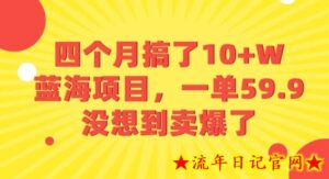 四个月搞了10+W的蓝海项目,一单59.9米,没想到卖爆了-流年日记