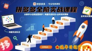 拼多多全阶实战课程,从新手小白到运营高手,海量实战玩法+全年实时更新【2025年9月更新】-流年日记