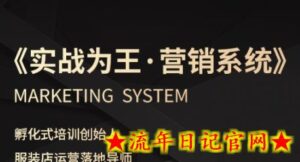 服装老板必修课《实战为王-营销系统》实现业绩被动式增长-流年日记