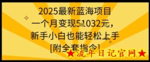 2025最新蓝海项目一个月变现1w+新手小白也能轻松上手【附全套指令】-流年日记