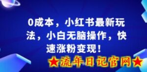 0成本,小红书最新玩法,小白无脑操作,快速涨粉变现-流年日记
