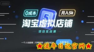 淘宝虚拟店铺项目实战课，一个人也能做，无需货源、0成本起步，月入5k-流年日记