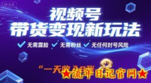 视频号带货变现新玩法,无需露脸,无需粉丝,无任何封号风险,一天收益8张【揭秘】-流年日记