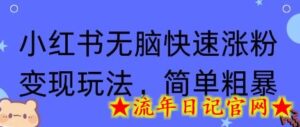 小红书无脑快速涨粉变现玩法,简单粗暴-流年日记