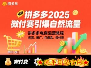 拼多多2025微付赛引爆自然流量,拼多多电商运营教程,运营、推广、打爆品、微付费-流年日记
