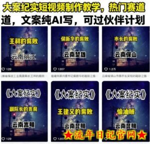 大案纪实短视频制作教学,热门赛道,文案纯AI写,可过伙伴计划-流年日记