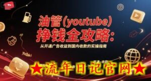 油管(youtube)挣钱全攻略:从开通广告收益到国内收款的实操指南(更新)-流年日记