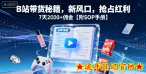 B站带货秘籍,新风口,抢占红利,7天2k+佣金【附SOP手册】-流年日记
