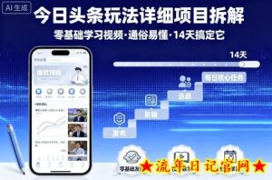 今日头条玩法详细项目拆解,零基础学习视频 通俗易懂 14天搞定它-流年日记