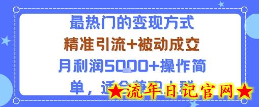 小众赛道玩法：当下最热门的变现方式，精准引流+被动成交月利润5k+操作简单，适合兼职人群-流年日记