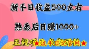 全年可变现项目,收益高无门槛,正规项目,长期可做,一天收益1k+一台电脑在家创业【揭秘】-流年日记