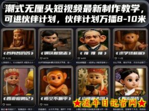 潮式无厘头短视频最新制作教学,可进伙伴计划,伙伴计划万播8-10米-流年日记