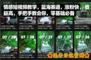 情感短视频教学，蓝海赛道，涨粉快，收益高，手把手教会你，零基础必备-流年日记